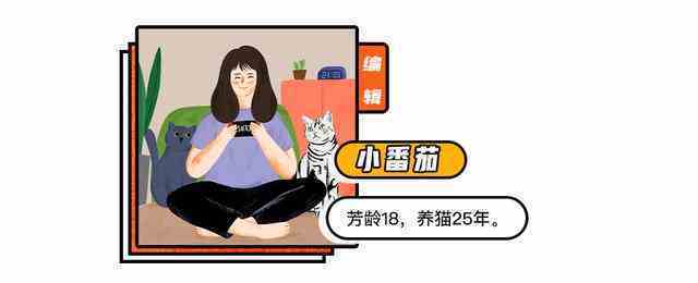 讨厌黑猫的理由（不要试图理解黑猫） 第28张