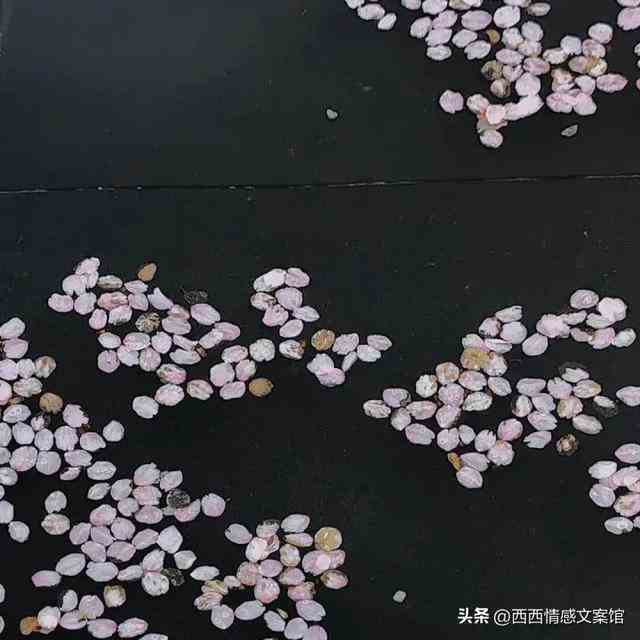 古风句子简短唯美（惊艳了岁月的句子） 第9张