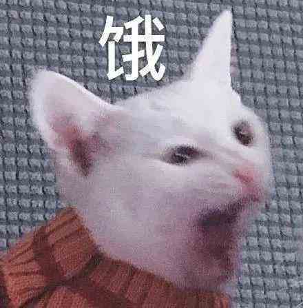 猫咪的牙齿长什么样子（你一定不知道猫咪的牙牙还有这种形状） 第17张