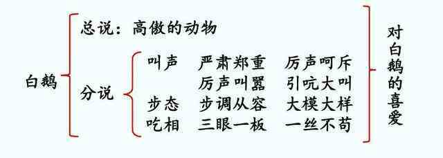 四年级下册15白鹅语文预习（四年级语文下册十五课白鹅课文笔记和知识点） 第2张