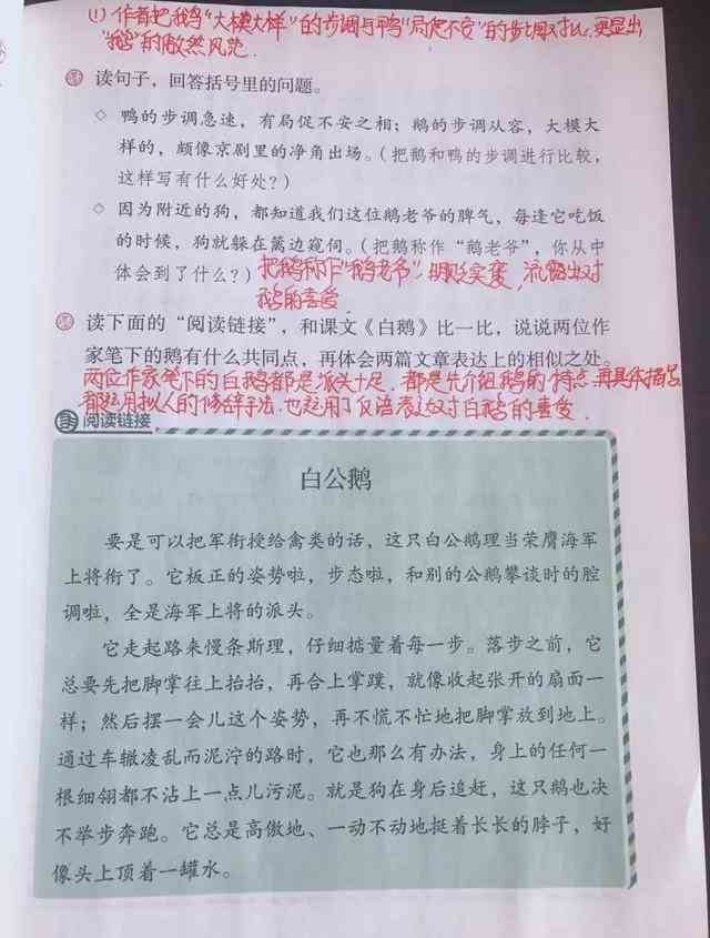 四年级下册15白鹅语文预习（四年级语文下册十五课白鹅课文笔记和知识点） 第6张