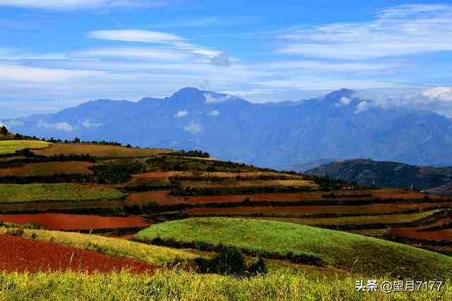 昆明东川红土地一日游路线及价格（云南东川红土地） 第10张