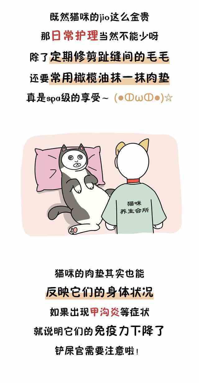 从猫咪肉垫看性格是真的吗（你以为猫咪肉垫仅仅是为了卖萌） 第6张