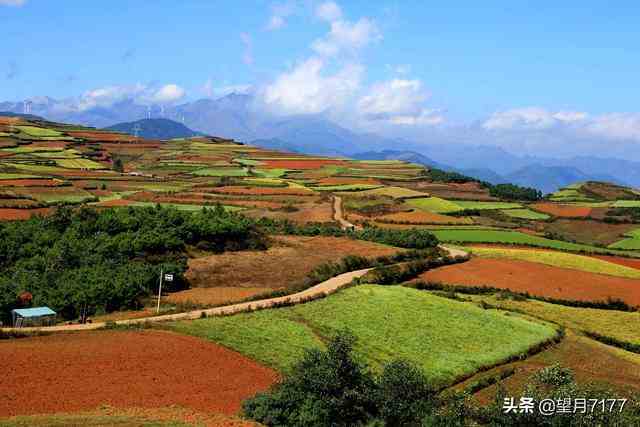 昆明东川红土地一日游路线及价格（云南东川红土地） 第18张