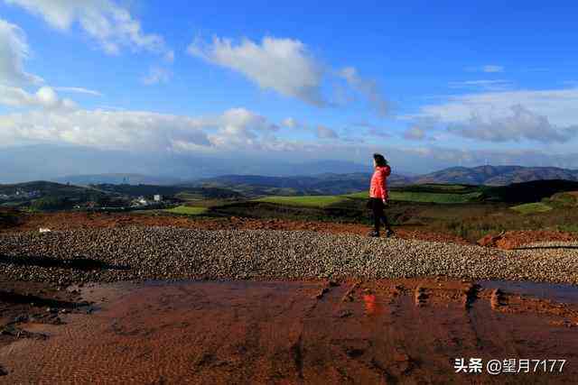 昆明东川红土地一日游路线及价格（云南东川红土地） 第26张