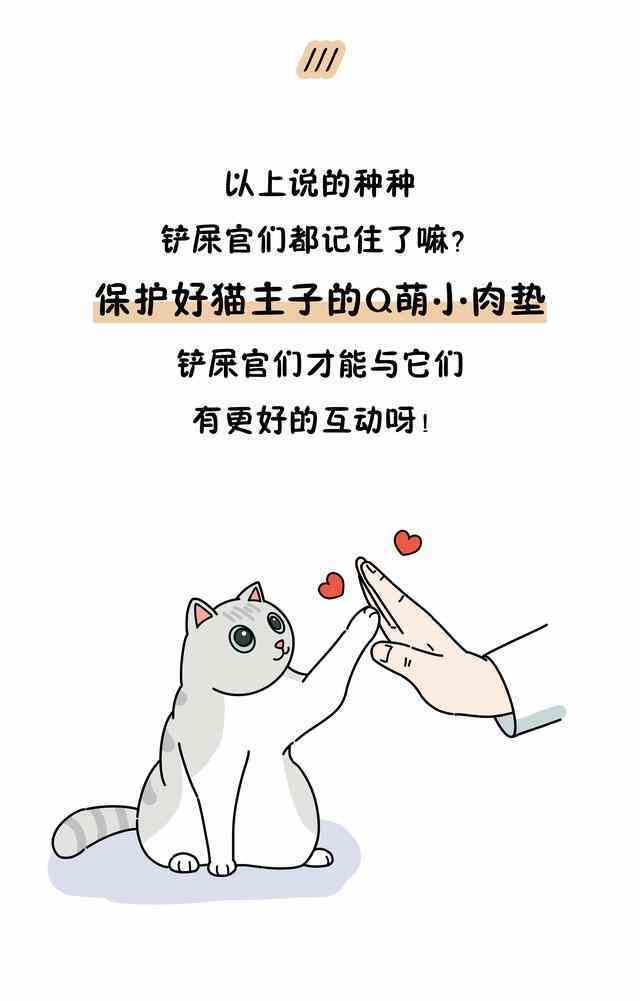 从猫咪肉垫看性格是真的吗（你以为猫咪肉垫仅仅是为了卖萌） 第7张