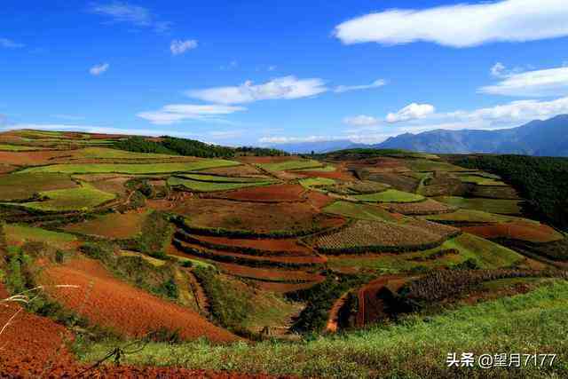 昆明东川红土地一日游路线及价格（云南东川红土地） 第5张