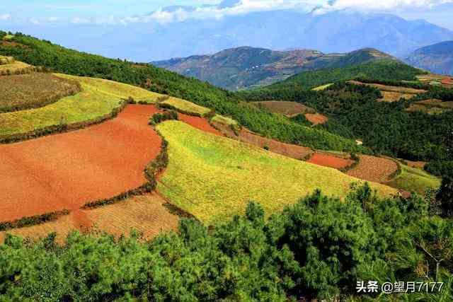 昆明东川红土地一日游路线及价格（云南东川红土地） 第19张