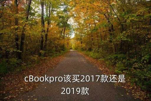 2019苹果笔记本pro的缺点,苹果笔记本2019 pro 第2张