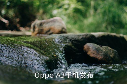 oppoa3手机上市价格,OPPO A3手机发布，售卖价曝光 第1张