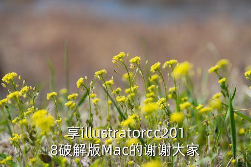 苹果笔记本ai安装教程视频,mac ai2020安装教程 第1张