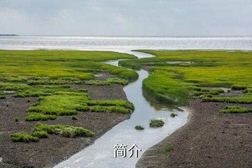 华为鸿蒙系统用久了会卡吗,华为预装鸿蒙系统是否存在卡顿问题？ 第1张