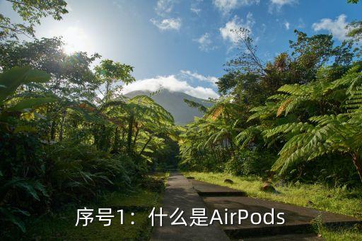 序列号查询苹果官网airpods,“无线耳机新玩法，苹果AirPods一键连接你的音乐世界”