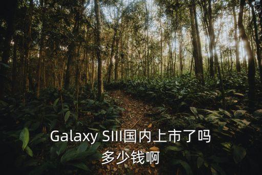 三星galaxy siii报价，三星Siii 现在报价多少啊 第2张