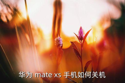 华为matexs，华为 mate xs 手机如何关机 第1张