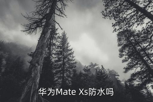 华为matexs，华为 mate xs 手机如何关机 第2张