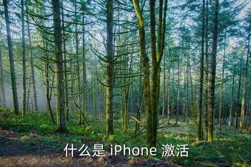 查看iphone激活时间,iPhone 激活所需的时间是多久？ → iPhone 激活需要花费多长时间？ 第1张