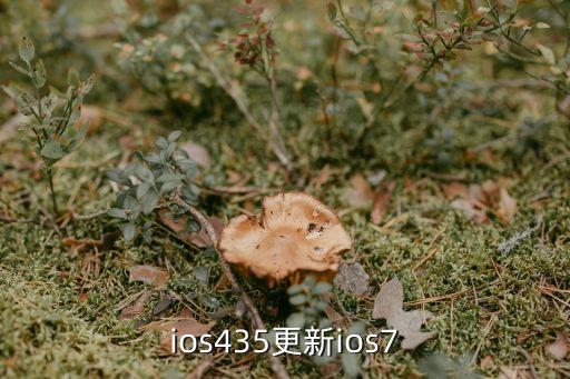 苹果更新ios7，ios435更新ios7 第1张