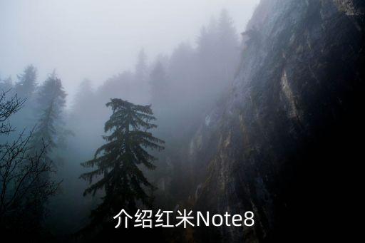 红米note8官方价,小米发布新品：红米Note8，价格曝光！