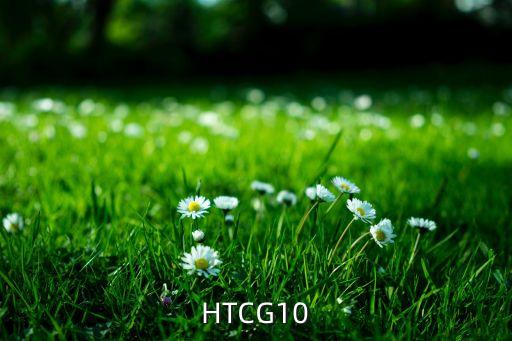 htcg10，HTCG10