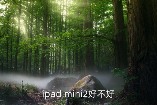 ipad mini2，ipad mini2好不好