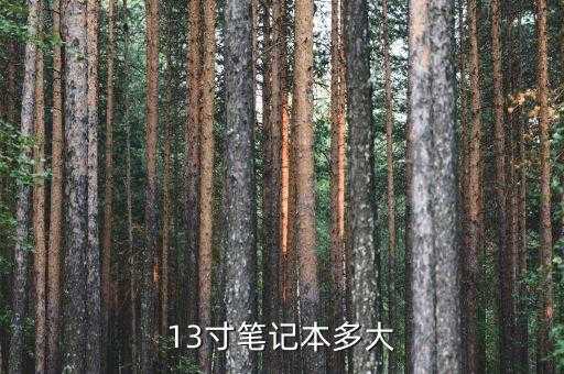 13寸笔记本多大，13寸笔记本多大