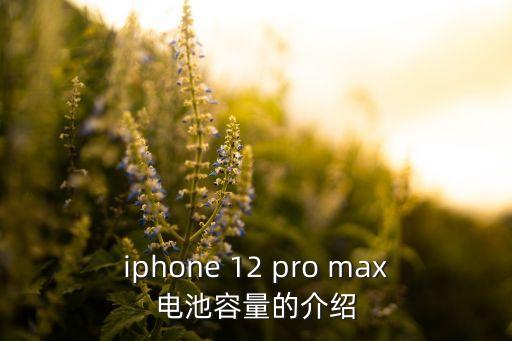 iphone 12 pro max电池容量,iphone 12 pro max续航能力揭秘