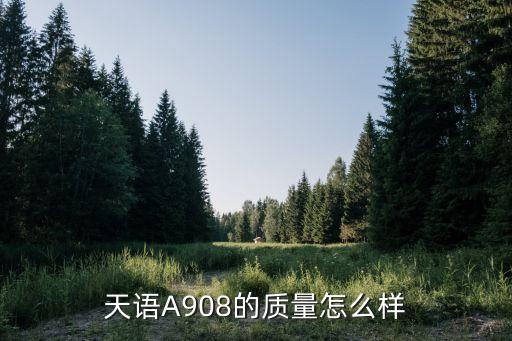 天语a908，谁能给我一份天语A908的详细资料谢谢 第2张