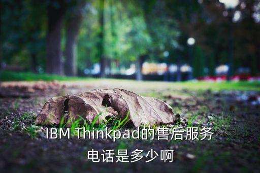 thinkpad上门售后服务，Thinkpad 售后服务电话 第3张