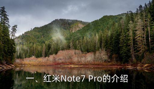 红米note7pro有nfc吗,红米Note7 Pro是否带有NFC功能？