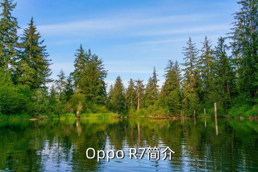 oppor7是双卡双待的吗,oppo r7是否支持双卡双待功能 第1张