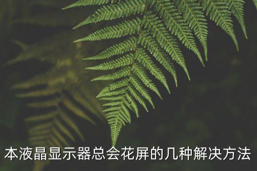 戴尔笔记本显示器器花屏,关于戴尔笔记本屏幕的问题 第2张