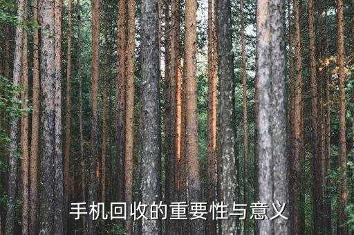 手机回收上门交易,便捷环保，免费回收手机服务