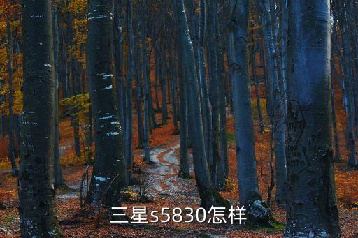 三星盖世s5830，三星S5830 第3张