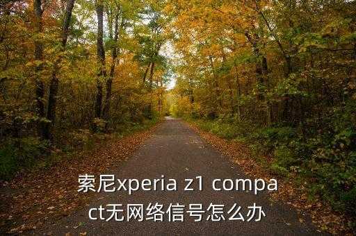 xperia z1 compact，索尼z1 compact台版有什么不好 第3张