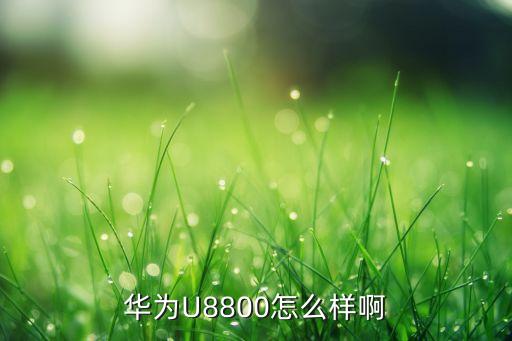 华为u8800怎么样，谁在用华为的U8800手机怎么样不是听说什么电流门晕死还说 第2张