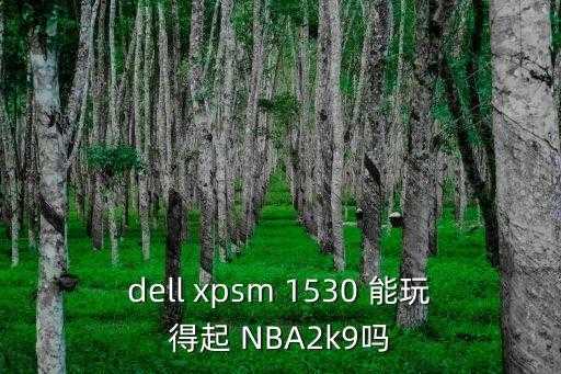 xpsm1530，dell xpsM1530用那个版本的xp系统好 第3张