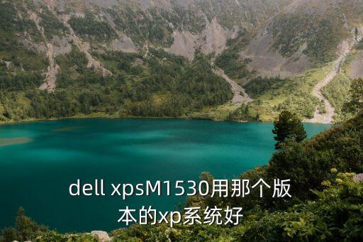 xpsm1530，dell xpsM1530用那个版本的xp系统好