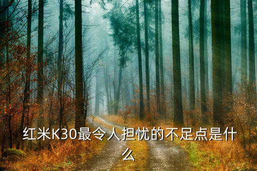 红米k30最严重缺点,红米K30最令人担忧的不足点是什么？