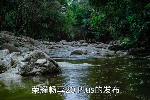 畅享20plus上市时间及价格,荣耀畅享20 Plus发布：价格、上市时间曝光 第1张