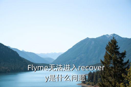 flyme无法进入recovery,Flyme系统无法成功进入恢复模式 第1张