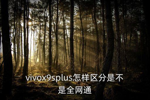 vivox9splus，vivoX9s和vivoX9sPlus有什么区别 第3张