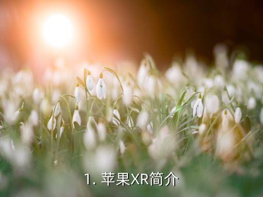 苹果xr售价,新一代苹果xr价格公布 第1张