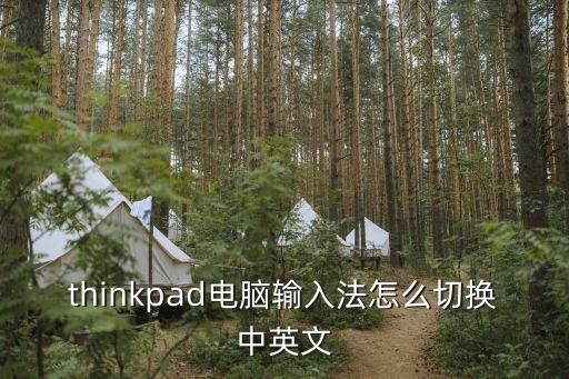 联想笔记本think键盘,thinkpad联想键盘 第1张