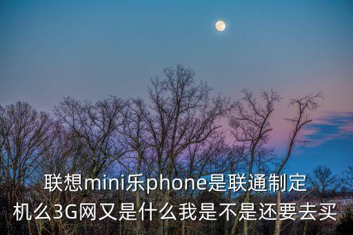 mini phone，MINI乐PHONE与乐PHONE是同一款机型么 第2张