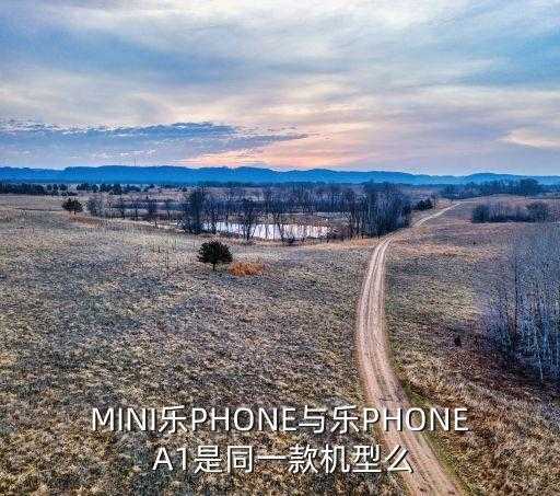 mini phone，MINI乐PHONE与乐PHONE是同一款机型么 第3张