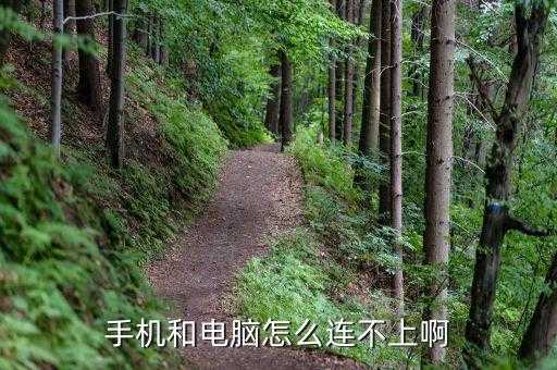 手机无法连接电脑，手机和电脑怎么连不上啊 第1张