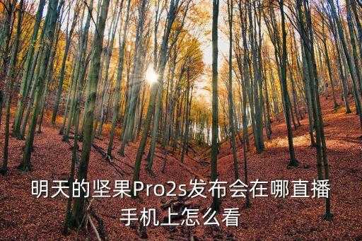 坚果手机发布会，明天的坚果Pro2s发布会在哪直播手机上怎么看 第1张