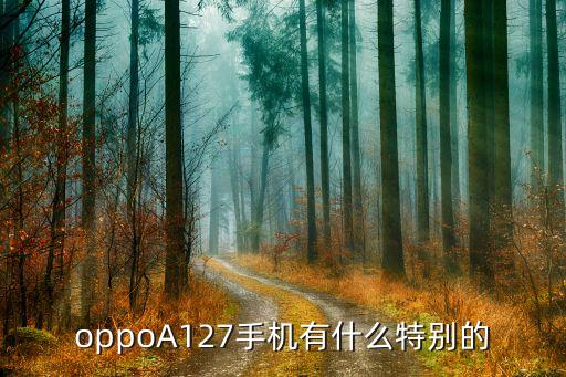 oppoa127，OPPOA127怎么样 第2张