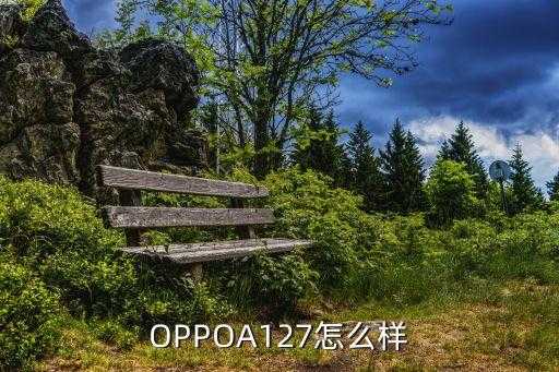 oppoa127，OPPOA127怎么样 第1张